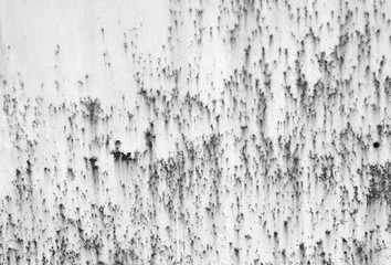 White corroded metal surface for background