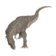 白亜紀後期の恐竜時代の終焉を飾る大型の肉食恐竜であり、様々な化石が発見されている。雌雄の大きさの違いや、家族単位での群れの形成等、生態への探求が今も続いている。上下の顎は重く鼻先は細長い。頭部を真正面から見るとフクロウのような視野の広がりをもつ。巨大な上顎が視野を妨げるような構造ではなく、獲物との距離感が正確につかめるような構造である。イラストは斜め上から全身を描いた。 © Mineo