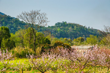 Obraz premium Countryside scenery in the mountains