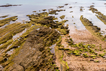Playa la Concha - Detailaufnahme Felsen im Wasser bei Ebbe