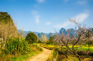 The road in the countryside with mountains 
