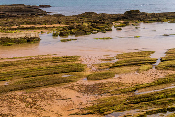 Playa la Concha - Santander - Detailaufnahme Felsen im Wasser bei Ebbe