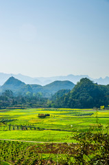 Obraz premium Countryside scenery in spring season