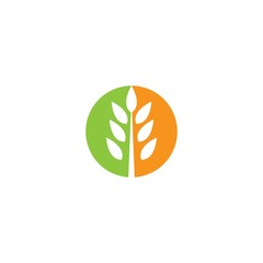 Wheat logo template vector icon illustration