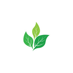Vegan Logo Template vector symbol