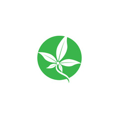 Vegan Logo Template vector symbol