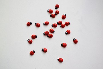 wooden ladybugs