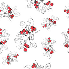 Hand Drawn Botanical Illustration