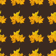 Seamless background with dry a bunch of dry leaves