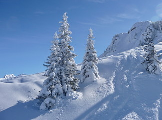 Winterlandschaft