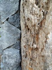 Close up look of big chunk of gray natural stones and as wall finishing material