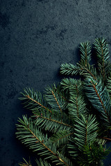 Spruce and fir twigs on dark stone background. Copy space. Christmas background