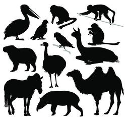 Zoo Animals Silhouette Set Isolated