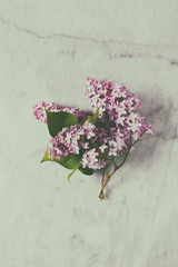 Spring lilac flowers on gray marble background. Still life. From above
