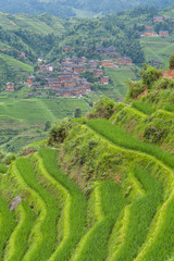 A view of a village on the Longsheng Rice Terraces, Guilin, China