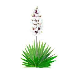 Fototapeta premium vector cartoon plants clip art