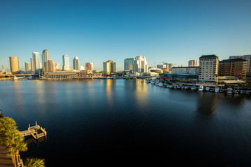 Fototapeta premium Downtown of Tampa