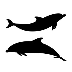 Fototapeta premium vector cartoon animal clip art