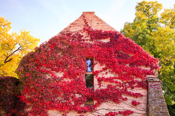 house in autumn Tijuana, Hungary, Europe
