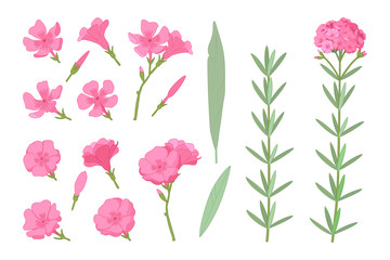 Fototapeta premium vector hand drawn plant clipart