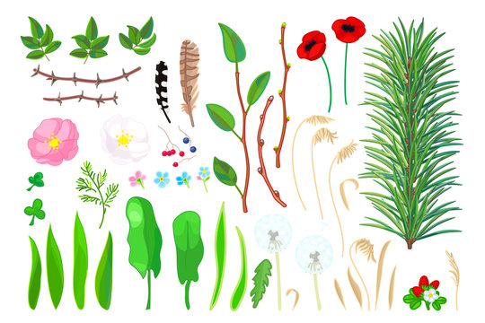 vector forest plant objects set