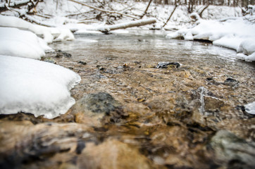 river in the forest in winter