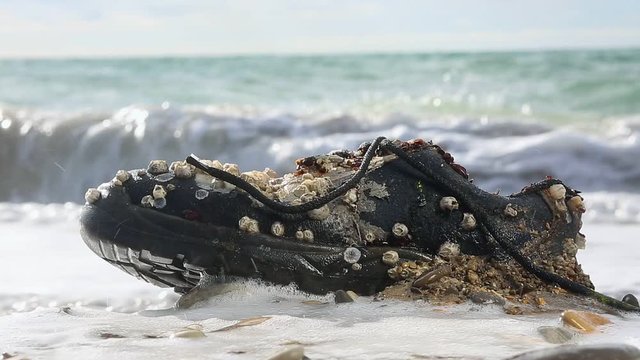 Concept of environmental protection and pollution. An old Shoe covered with shells lies on the seashore. Close up. In the background, the ocean