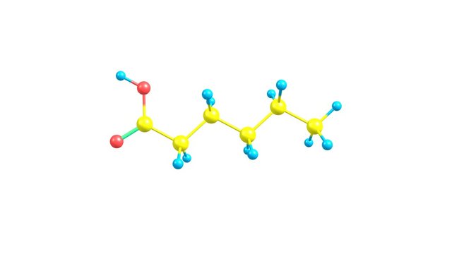Rotating isolated hexanoic acid molecule video