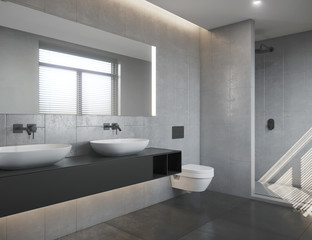 Contemporary grey bathroom with double sink and toilet