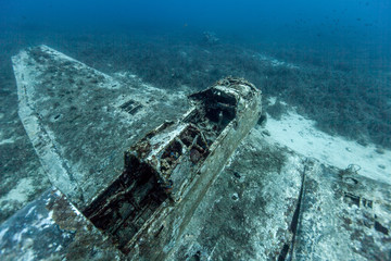 The surprising underwater world of the Indian and Pacifical Oceans