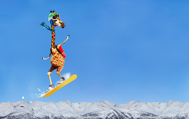 Happy giraffe snowboarder jump high over mountains © Sergey Novikov