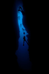 The surprising underwater world of the Indian and Pacifical Oceans