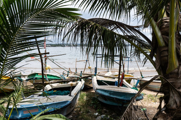 Fototapeta na wymiar Fishing boats on the beach near palm trees