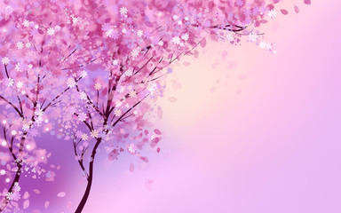 Pink blossom trees with flowers