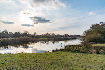 Small river in Dutch nature reserve Waterleindingduinen near North Sea coast