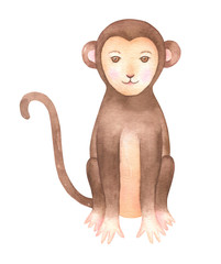 Watercolor Monkey Illustration
