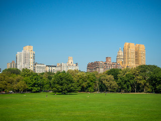 Fototapeta premium Manhattan, New York City, United States : [ Central park, midtown Manhattan, Bethesda mall fountain panorama ]