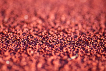 Red running sport track background and texture. Sport running track concept.