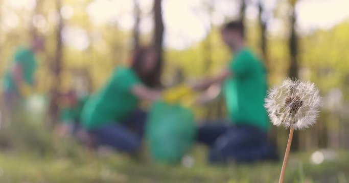 Garbage collection concept: a group of young people in green T-shirts clean the spring park and collect accumulated plastic garbage, blurred video, place for text.