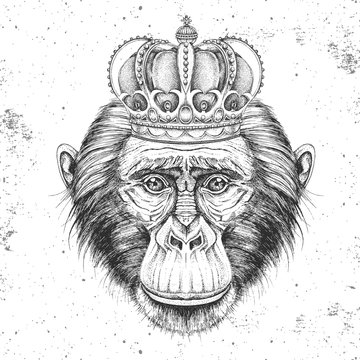 Hipster animal monkey in crown. Hand drawing Muzzle of chimpanzee