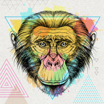 Hipster animal monkey on artistic polygon watercolor background
