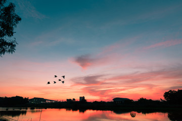 beautiful landscape sky and clound sunset,sky background