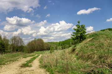 Obraz premium road in the mountains