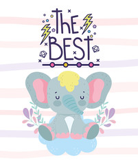 the best cute elephant sitting on cloud floral decoration card