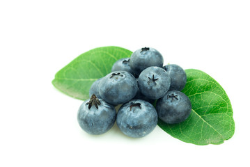 blueberries isolated on white background