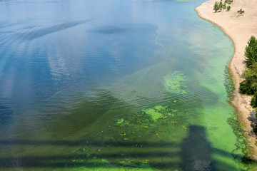 Polluted green river water. Toxic bacteria and harmful waste pollute water. Ecological problems.