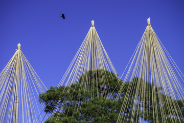 Fototapeta premium 秋の金沢 兼六園