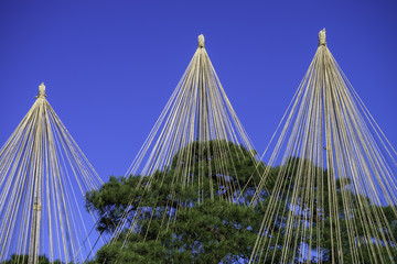 秋の金沢　兼六園