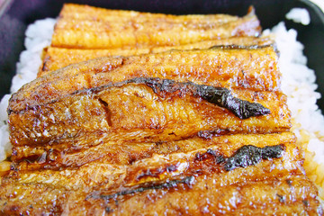 うなぎの蒲焼(うな重)