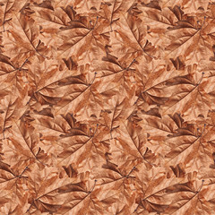 Dry autumn leaves background